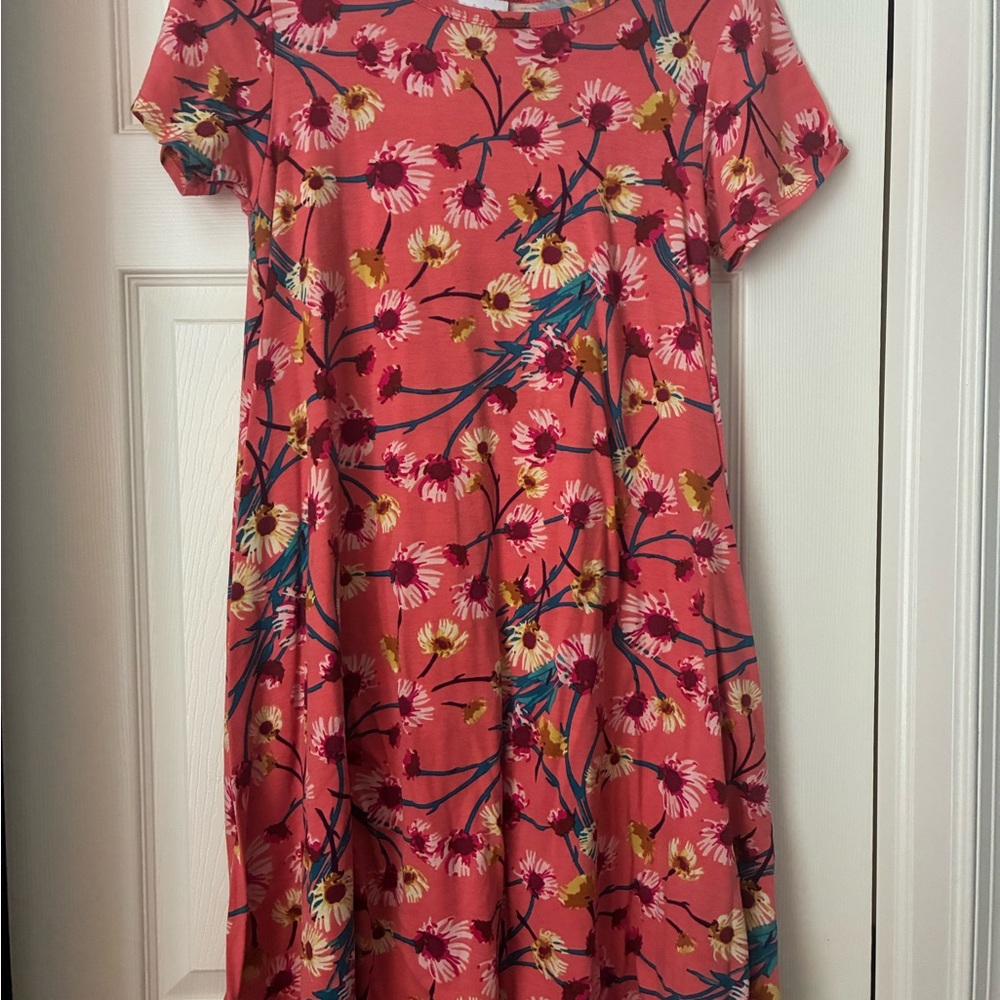LuLaRoe XXS Carly